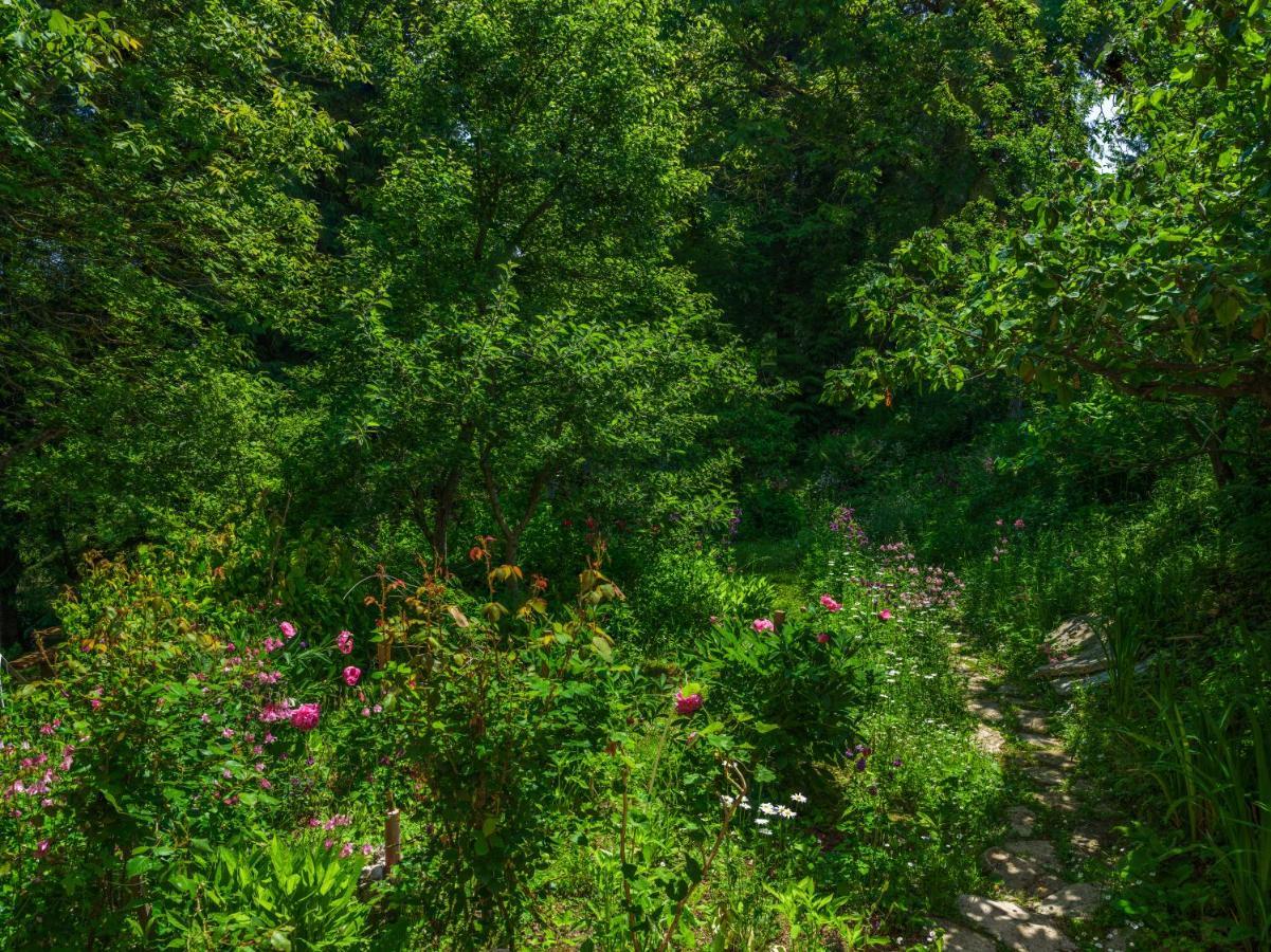 Yeti Cabin Plitvica selo Zewnętrze zdjęcie