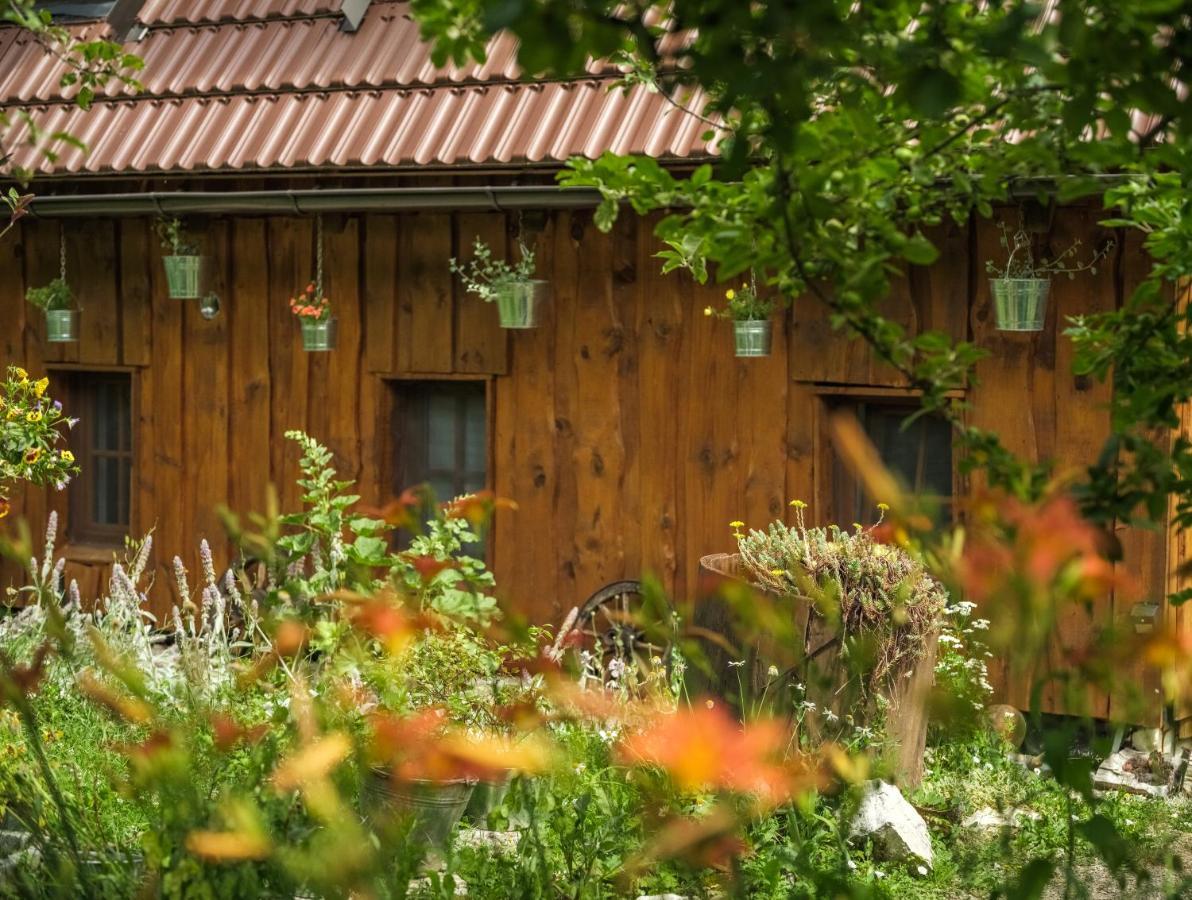 Yeti Cabin Plitvica selo Zewnętrze zdjęcie