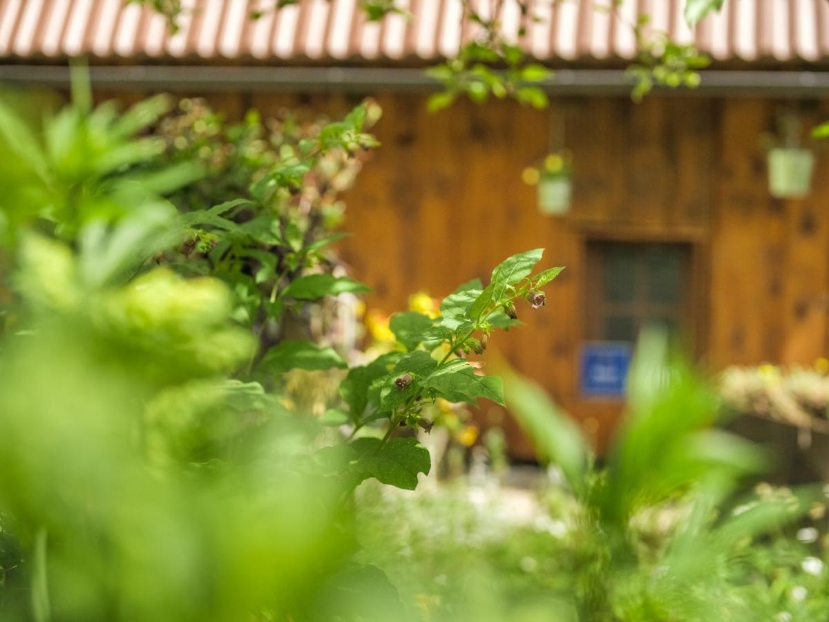 Yeti Cabin Plitvica selo Zewnętrze zdjęcie